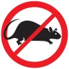 depositphotos_128184202-stock-illustration-no-rats-symbol-sign